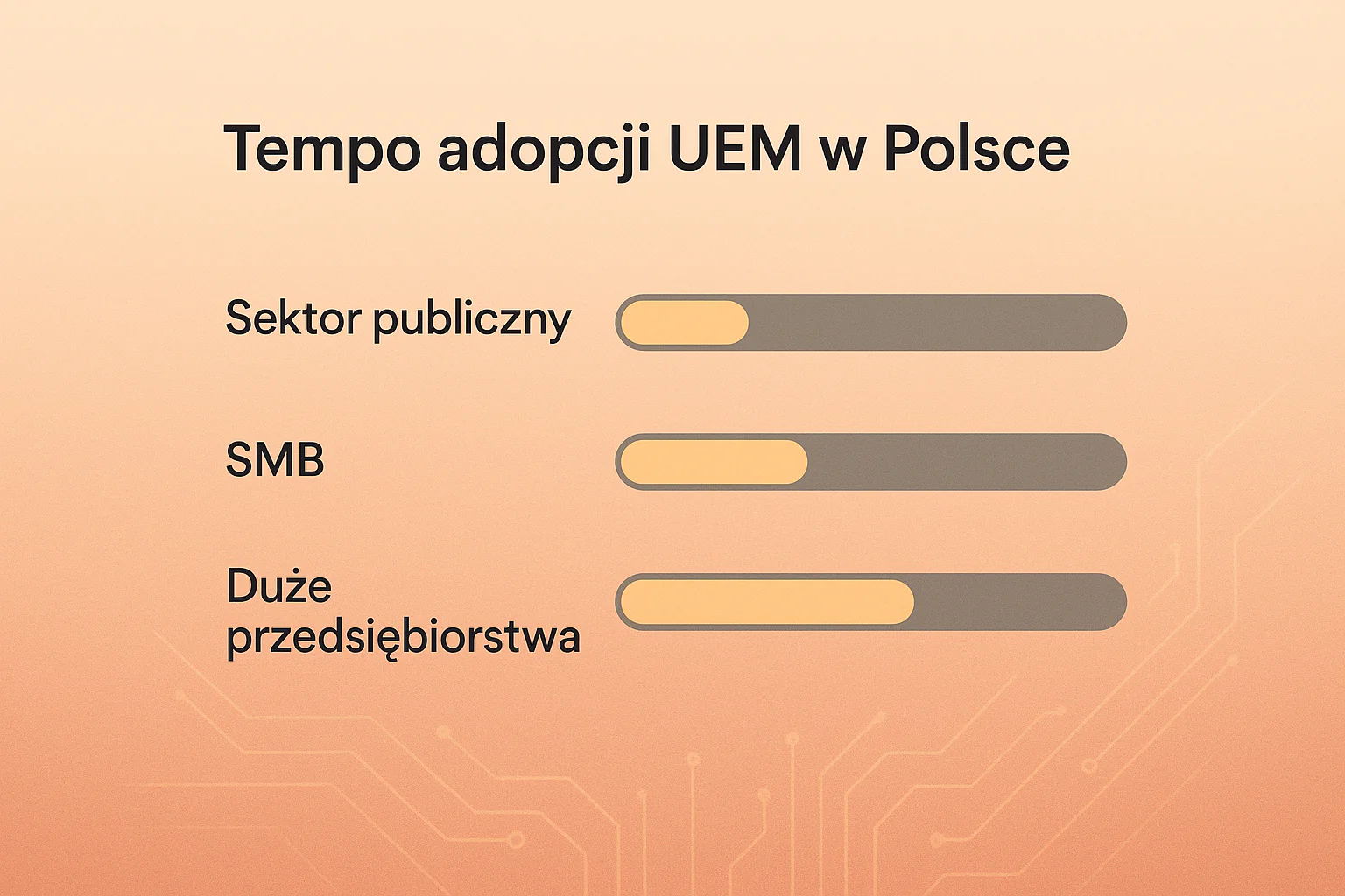 Tempo adopcji UEM w Polsce